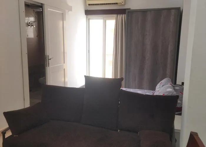 3 *